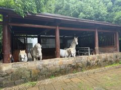 -白马涧龙池景区