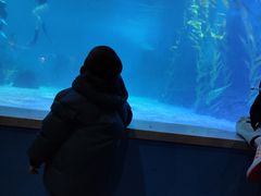 -常州海昌海洋探索馆