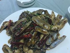 -小海丁