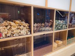 -炖物24章·顺时轻养茶(黄龙店)