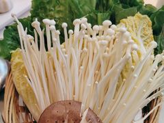 -同仁四季椰子鸡(福田东园总店)