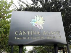 -Pistolera Mexican Cantina女枪手墨西哥餐厅(碧云路店)