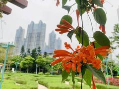 -广州珠江公园