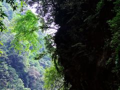 -碧峰峡风景区