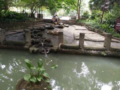 -成都市活水公园