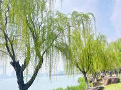 -金鸡湖景区