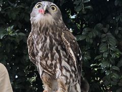 -可伦宾野生动物保护区
