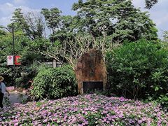 -广州市白云山风景名胜区