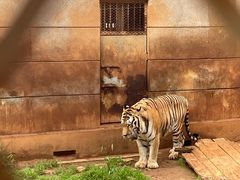 -昆明动物园