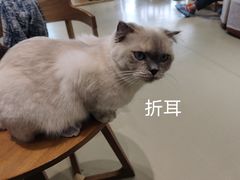 -藏猫猫咖啡主题馆(中央大道店)