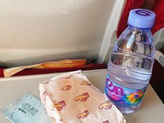 -金鹏航空有限责任公司(祝潘公路店)