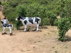 -山西乌金山旅游区
