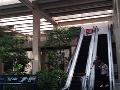 -仁恒美食庭苑(仁恒海河广场店)