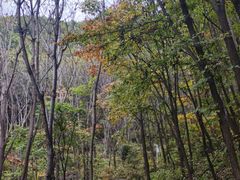 -野三坡百草畔景区
