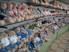 -济州岛泰迪熊博物馆