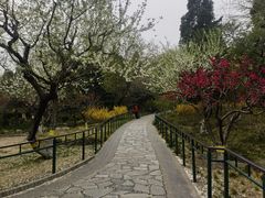 -宣武艺园