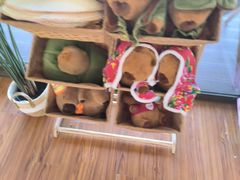 -中家鑫园温泉酒店鑫悦汤泉