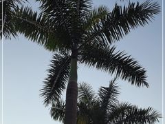 -云溪植物园