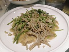 芫爆散丹-紫光园(创始店)