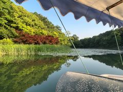 -西湖外事游船(花港观鱼码头)