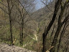 -陕西省红河谷森林公园