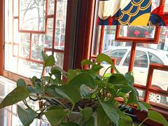 -左陕右甘(亚运村店)