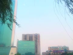 -西北湖绿化广场