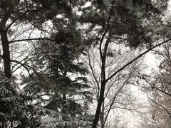 -青岛小羔羊火锅(李村公园店)