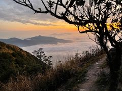 -梧桐山风景名胜区