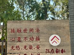 -西双版纳傣族园