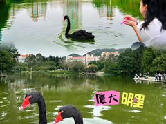 -厦门大学(思明校区)