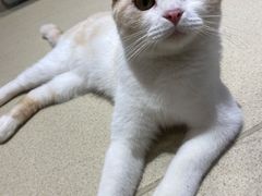 -藏猫猫咖啡主题馆(中央大道店)
