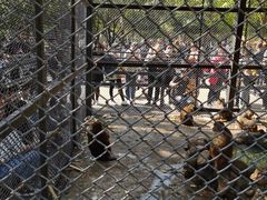 -长白岛森林公园