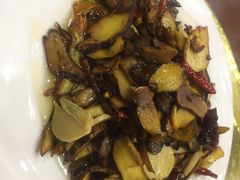 干椒牛肝菌-双喜农庄·菌香园(安居家园店)