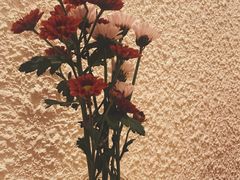 -Cafe on warm(丹霞店)