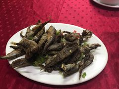 -蛇口康乐快餐鱼仔档(翠苑小区店)