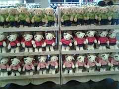 android_upload_pic-济州岛泰迪熊博物馆