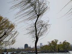 -济南大明湖景区