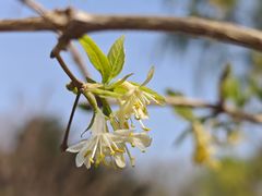 -紫竹院公园-东门停车场