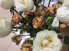 -循礼门鲜花花市(武汉循礼门店)