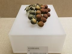 -广东省博物馆