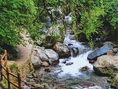 -西岭雪山大飞水景区
