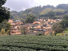-杨家堂村