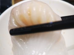 虾饺-新兴·金羊座·粤菜点心(乐峰店)