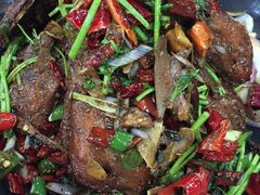 -乔家小院•本地小海鲜•非遗驴肉(万年泉路店)