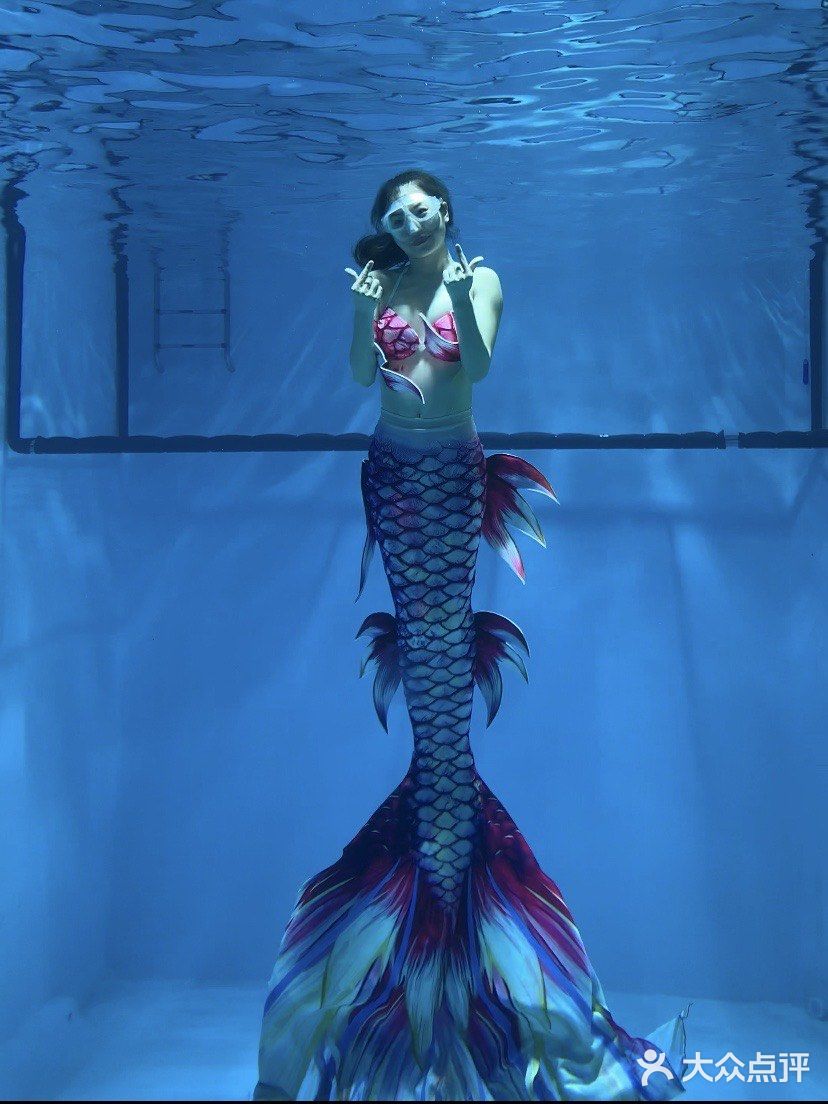 吃饭还能能看到美人鱼🧜🏻‍♀️｜中山K6潜水餐吧