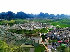 -会仙湿地