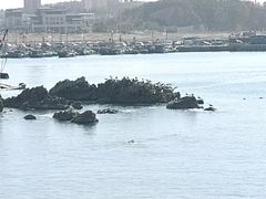-大连老虎滩海洋公园