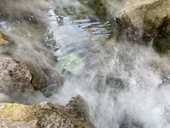 -伴山茶苑·围炉煮茶