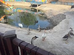 -北京鹿世界主题园